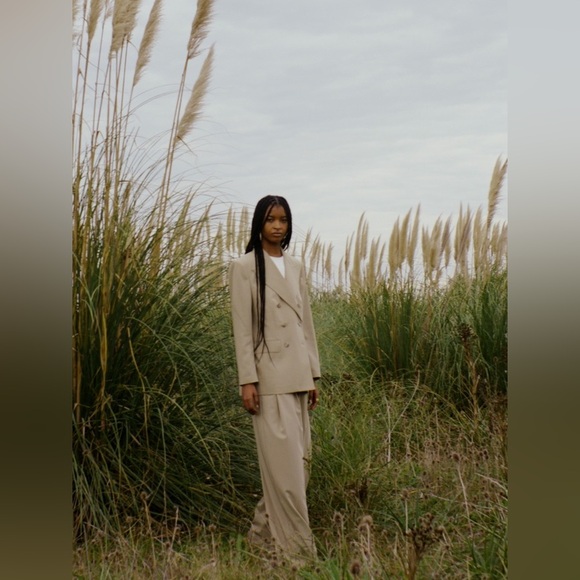 Banana Republic Beige Double-Breasted Blazer - Picture 2 of 15